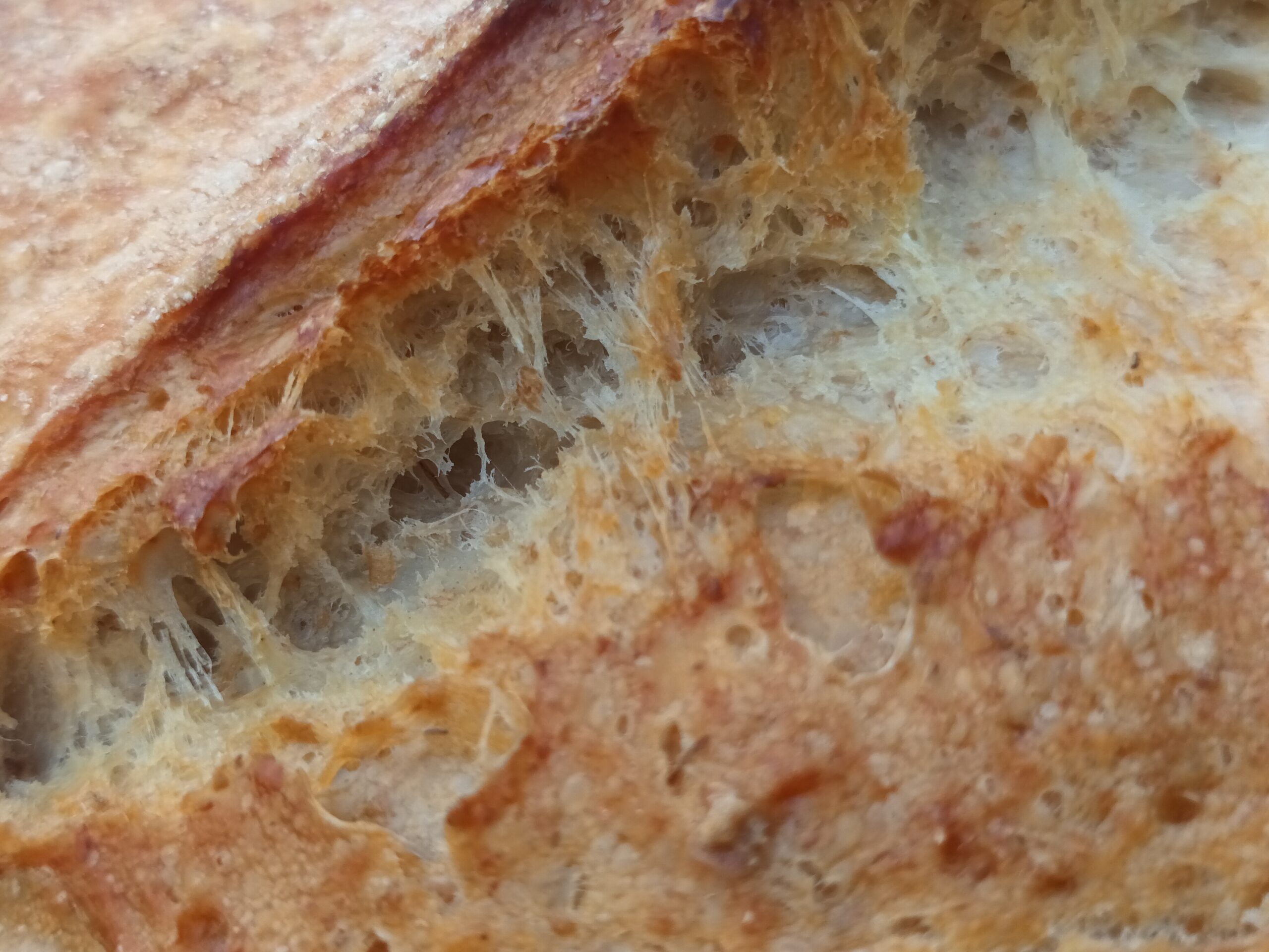 Desembrood volkoren tarwe