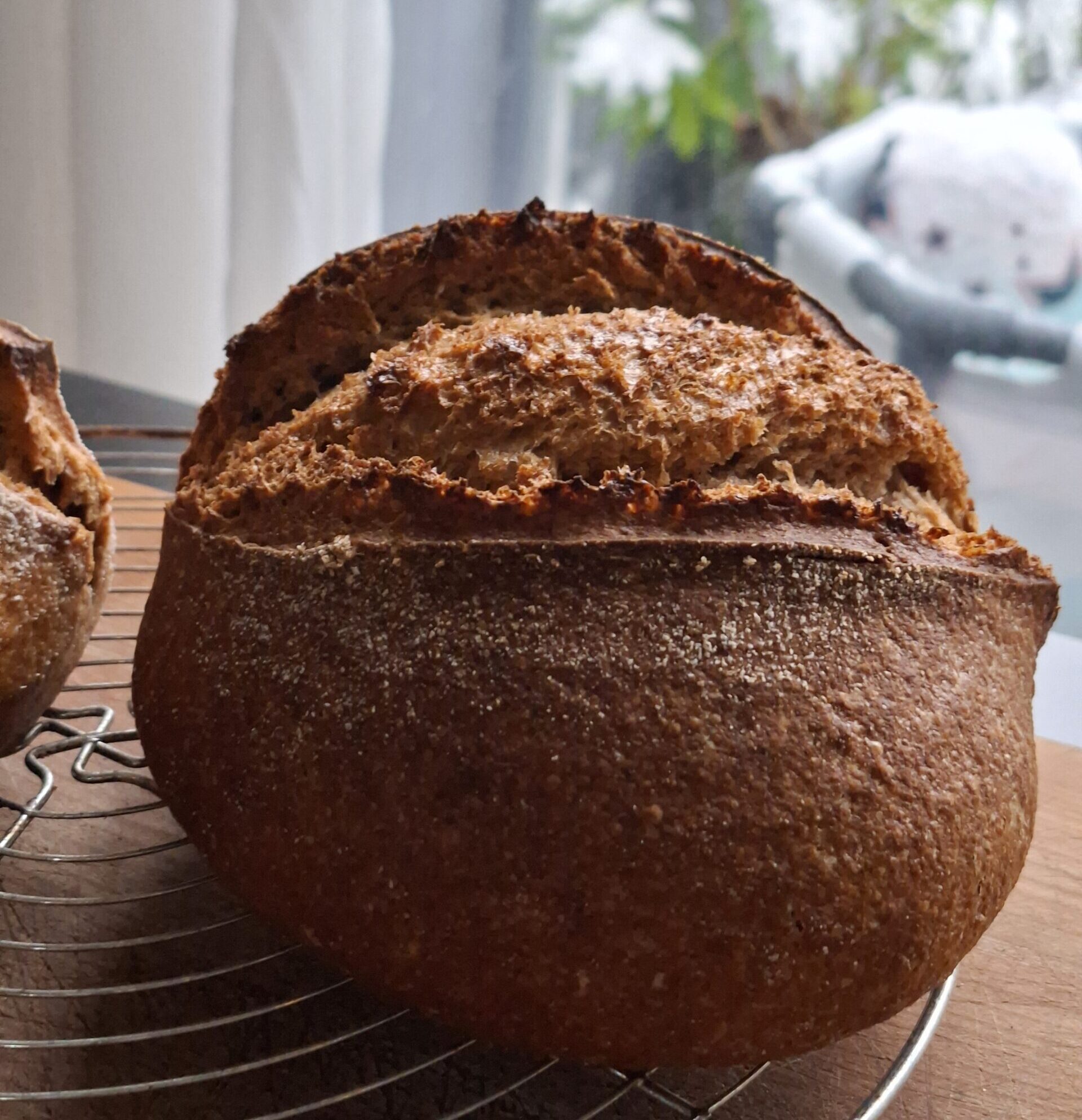 spelt desembrood met emmermeel, oergraan met veel voedingsstoffen en beter te verdragen voor de darmwand