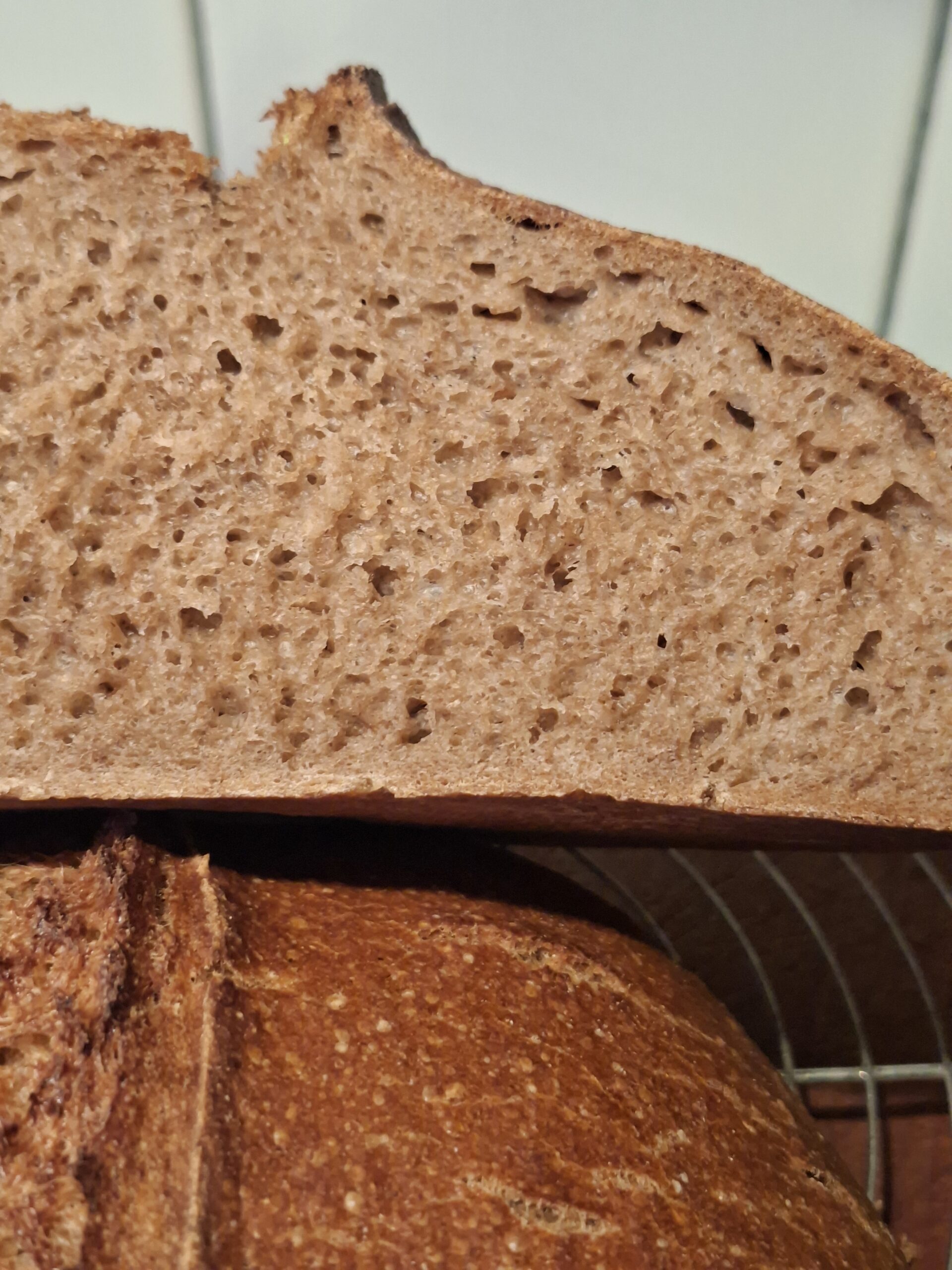 spelt desembrood met emmermeel, oergraan met veel voedingsstoffen en beter te verdragen voor de darmwand