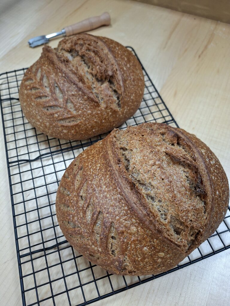 Altijd al zelf zuurdesembrood willen bakken? Water, meel en zout en natuurlijke gisten en bacteriën. Meer ingrediënten heb je niet nodig! Ja, tijd en geduld natuurlijk….


In deze gezellige en praktische workshop leer je stap voor stap hoe je je eigen ambachtelijke brood bakt – met een krokante korst en een luchtige, smaakvolle kruim. Misschien heb je het al wel eens geprobeerd en lukt het niet? Zo ging het bij mij een paar jaar geleden ook. Ik wil je graag helpen om te leren brood te bakken! Tijdens deze workshop bakken we een rustiek zuurdesembrood.