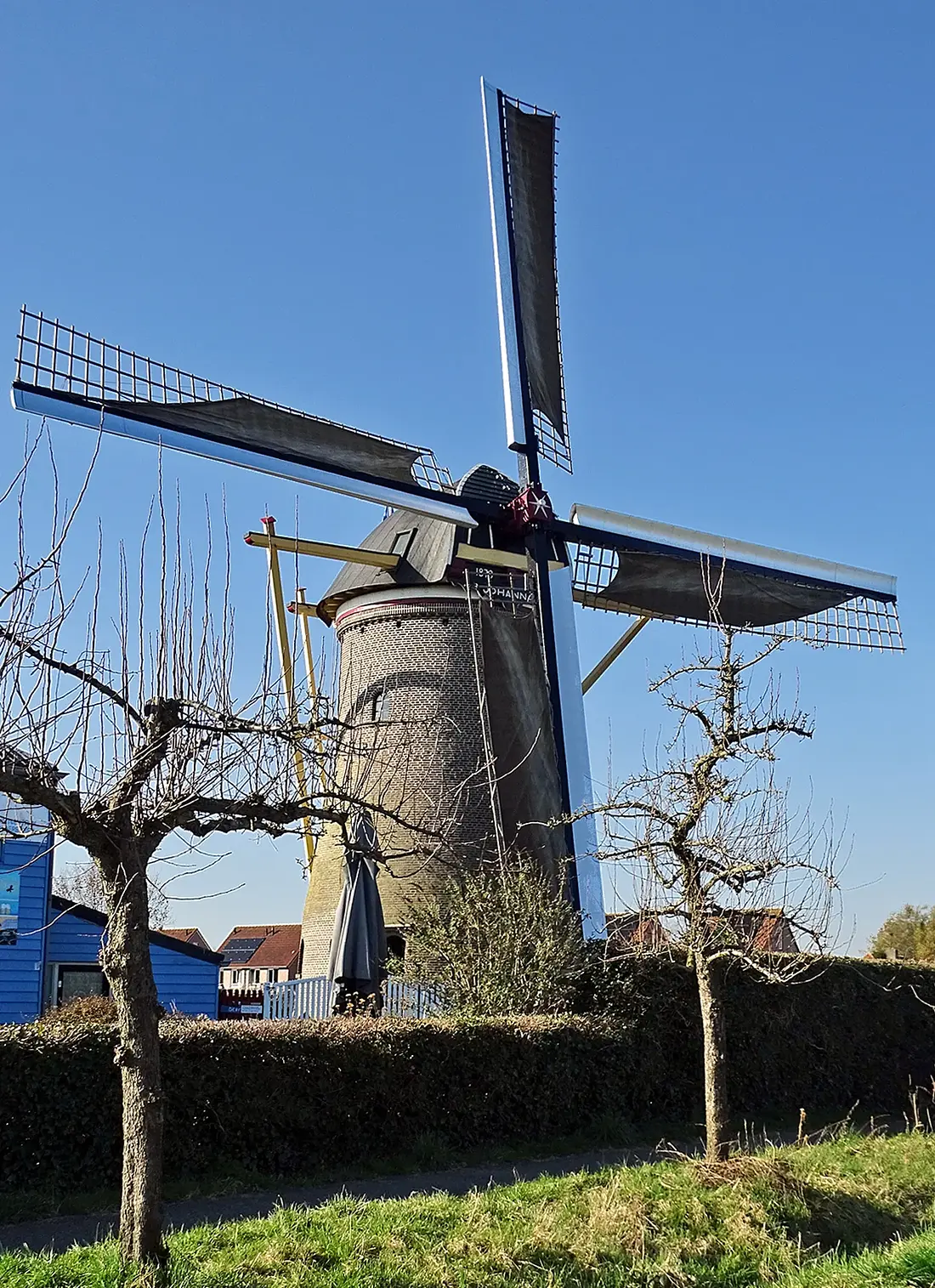 Bij de Johannamolen malen we op een ambachtelijke wijze: het graan wordt tussen de stenen gemalen en bevat van nature nog alle voedingsstoffen die ook in het graan zitten. Echt volkorenmeel dus! Meel uit de fabriek heeft een andere structuur dan ambachtelijk, molensteen-gemalen meel. Dat komt doordat machines in de meelfabriek niet vermalen maar borstelen. Vaak wordt dan ook de kiem ook verwijderd en ergens anders voor gebruikt. Wat is bloem? De johannamolen maakt ook bloem. Met de zelfgebouwde buil scheiden we de zemelen van het meel. De zo ontstane bloem is fijner en wit. Brood van onze bloem is nog steeds lichtbruin en daardoor extra lekker. De zemelen geven we aan een lokale biologische varkensboer, die zijn mest weer doorgeeft aan het voedselbos Lingehout in Geldermalsen. Op hun Bosakker verbouwen zij tarwe - die wij dan weer malen.