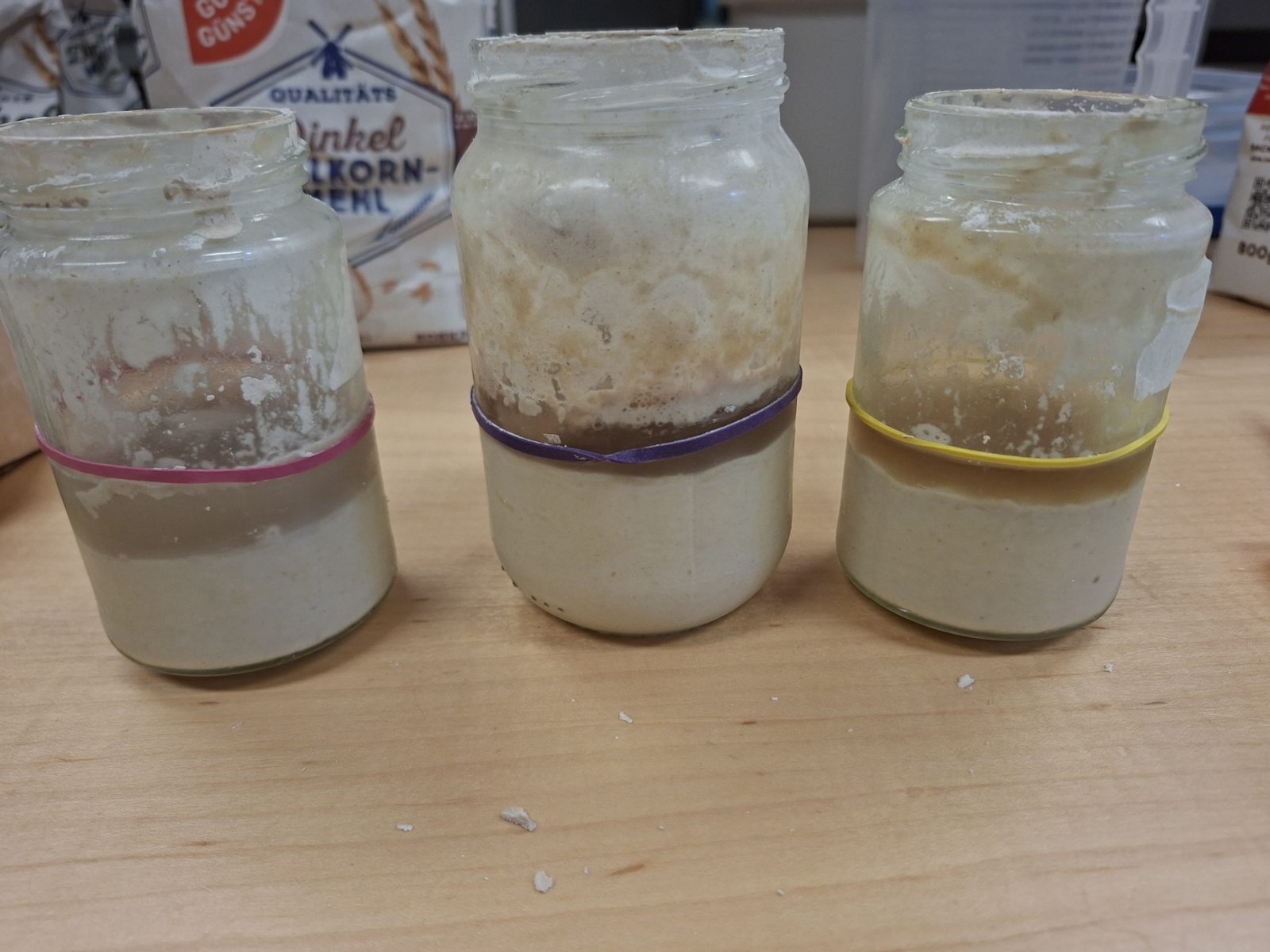 Drie potjes zuurdesemstarter met hooch, een laagje vocht bovenop de starter
